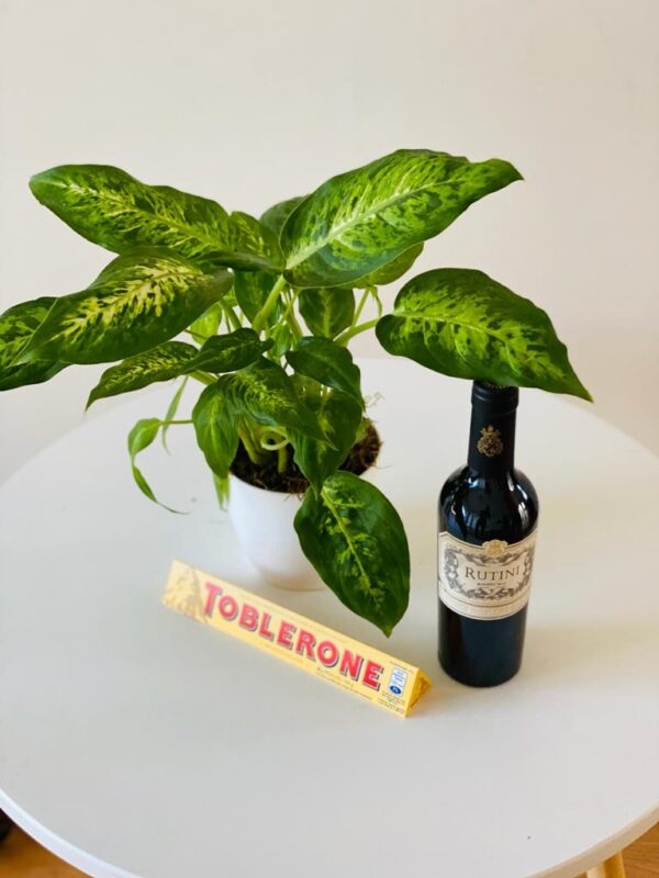 Box Deluxe - Mariana + Toblerone + Rutini Malbec 375 ml