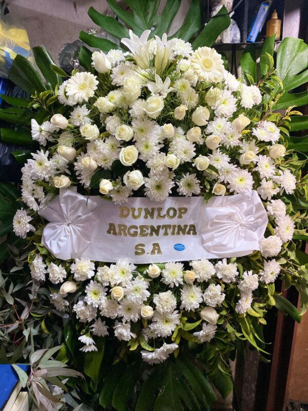 A 6- Corona Blanca Deluxe
