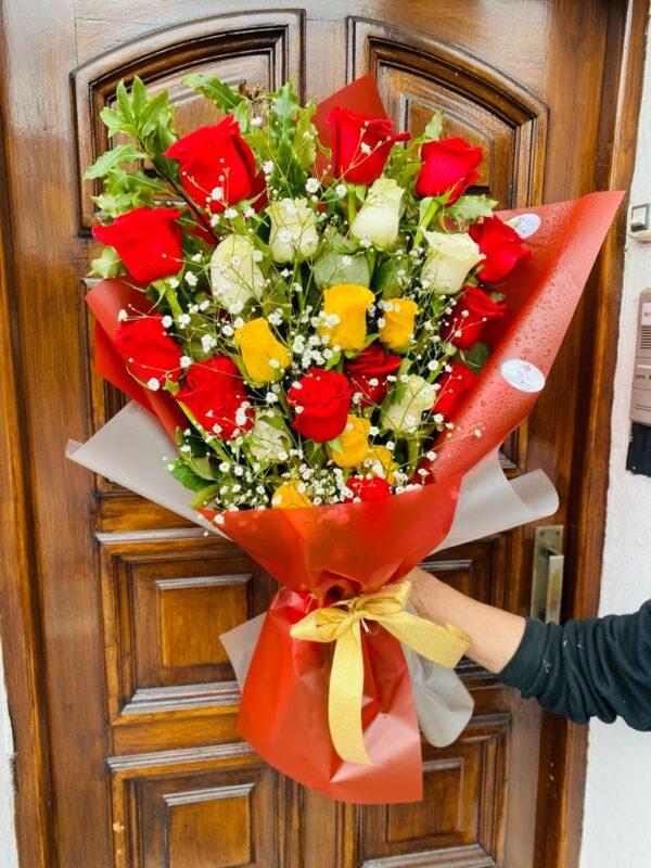 24 Rosas Importadas Multicolores