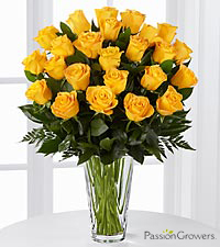 Jarrón con 24 Rosas Amarillas - Díselo con Flores