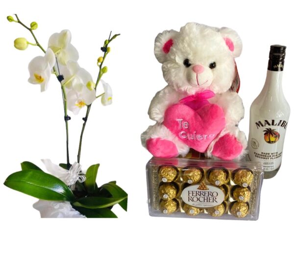 Planta de Orquidea de 2 varas + Bombones + Malibu 750 ml + Peluche