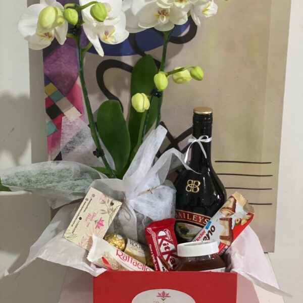 Box Premium- Planta de Orquidea de 2 varas + Baileys 750 ml + Dulces y Bombones