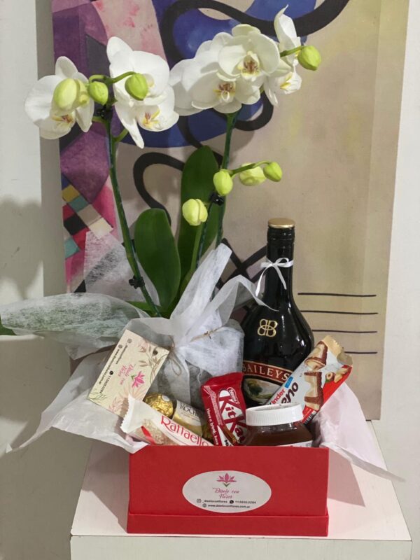 Box Premium- Planta de Orquidea de 2 varas + Baileys 750 ml + Dulces y Bombones