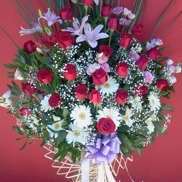 Canasta Deluxe Premium