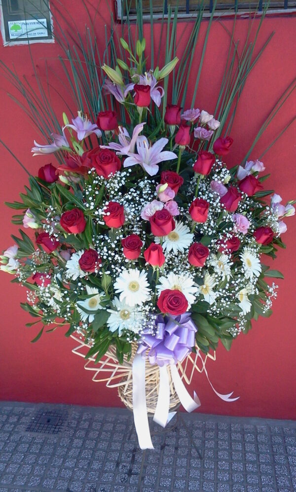 Canasta Deluxe Premium
