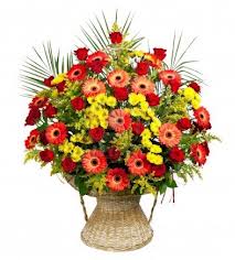 Canasta de Gerberas Premium