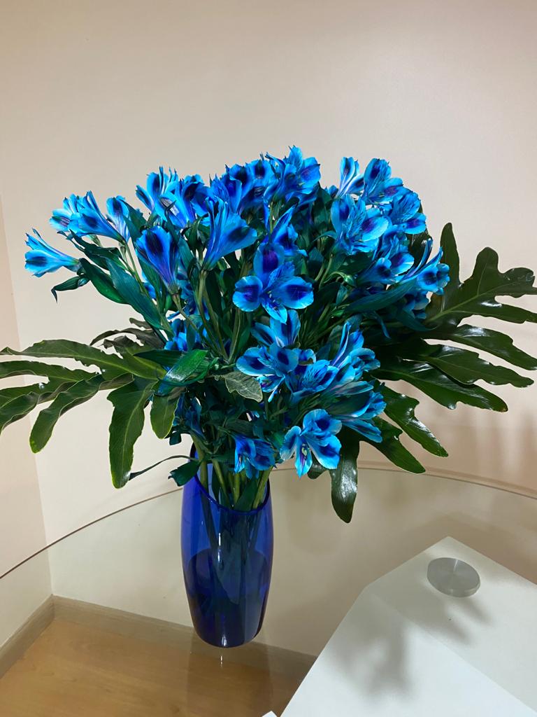 Jarron de Astromelias Azules - Díselo con Flores