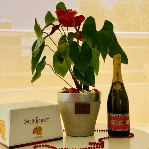 Box Premium - Navidad 2024