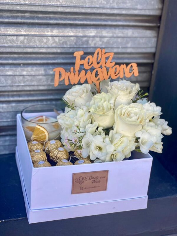 Box Blanco Primavera