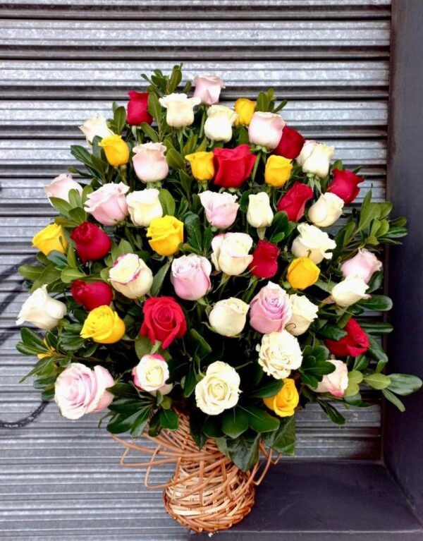 Canasta de 50 Rosas Multicolores Importadas