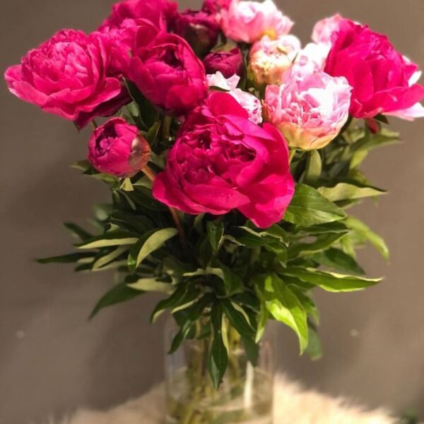 Jarron de Peonias