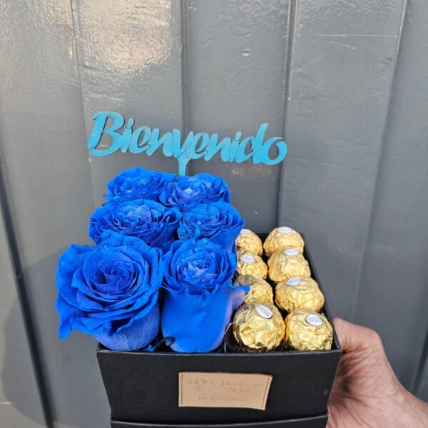 Box Bienvenido