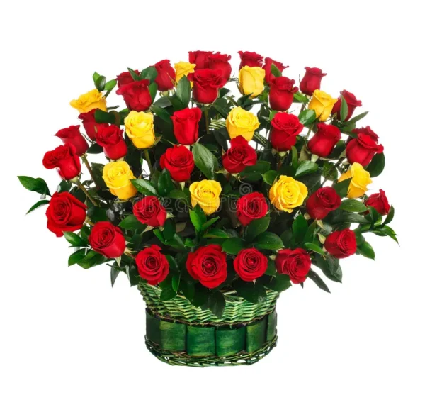 100 Rosas Importadas Amarillas y Rojas en Canasta