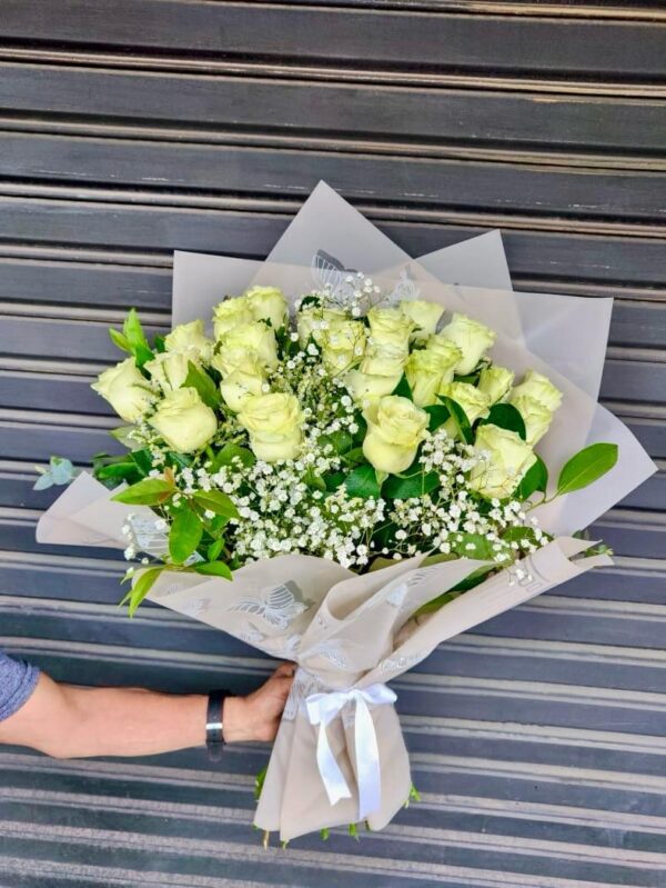 24 Rosas Blancas Importadas