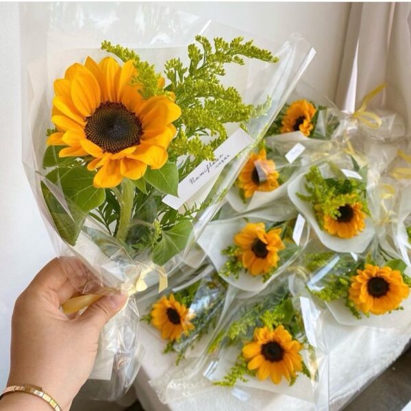 1 Girasol para Regalo