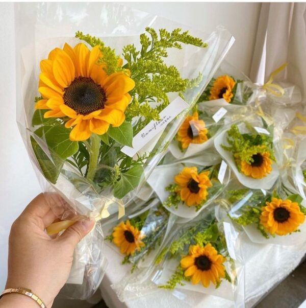 1 Girasol para Regalo