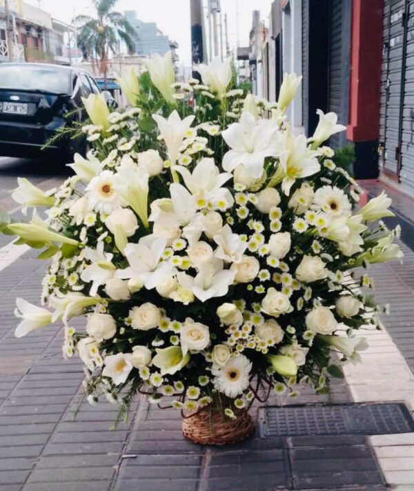 Canasta Blanca Premium