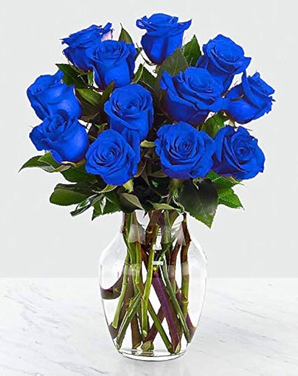 Jarron de 12 Rosas Azules Importadas