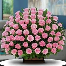 Canasta de 100 Rosas Rosadas Importadas
