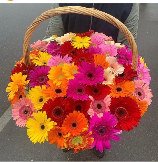 Canasta Multicolor de Gerberas