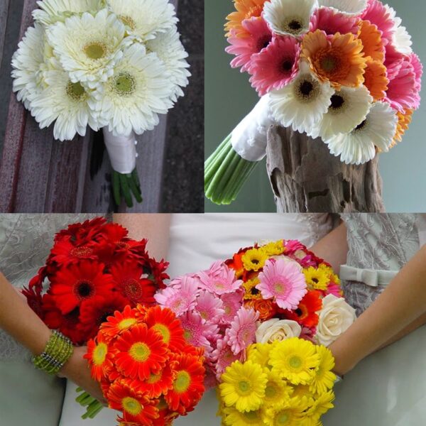 Ramos de Novia de Gerberas