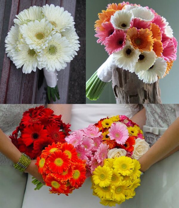 Ramos de Novia de Gerberas