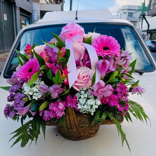 Canasta Pink