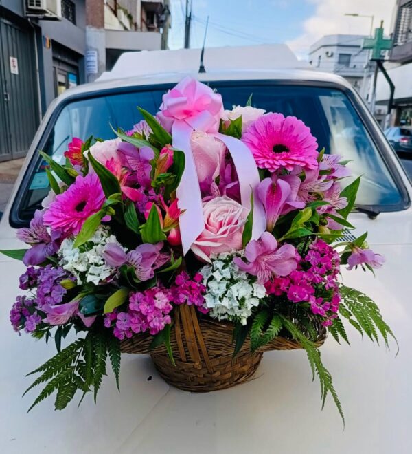 Canasta Pink