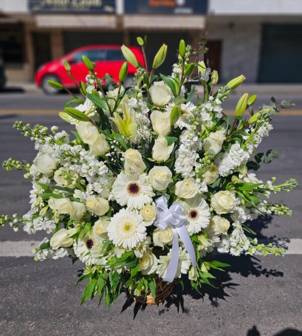 Canasta Blanca Premium