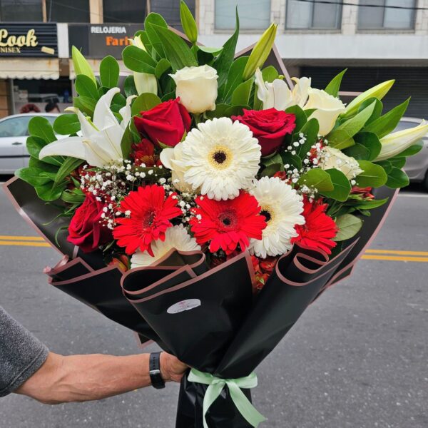 Ramo White & Red Premium