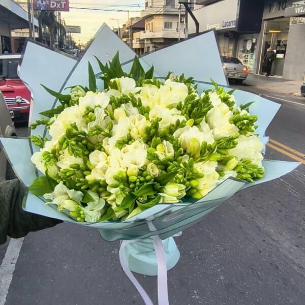 Ramo Premium de 100 Fresias Blancas
